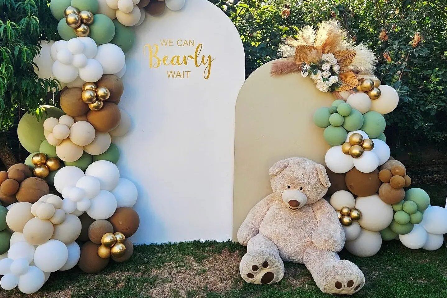 whatsapp image 2026 02 05 at 7.31.25 pm